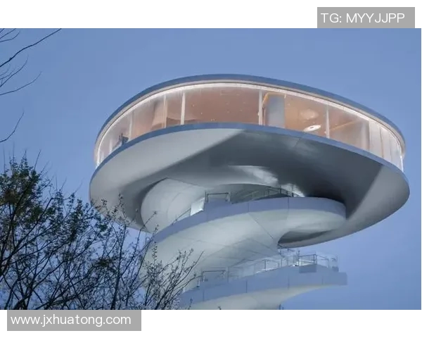 挪威20与洪都20的全面对比分析与市场前景探讨