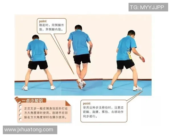 南京乒乓球队的灵活性探讨与训练策略分析